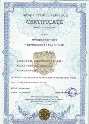 China Cangzhou Hangxin Flange Co.,Limited Certificações